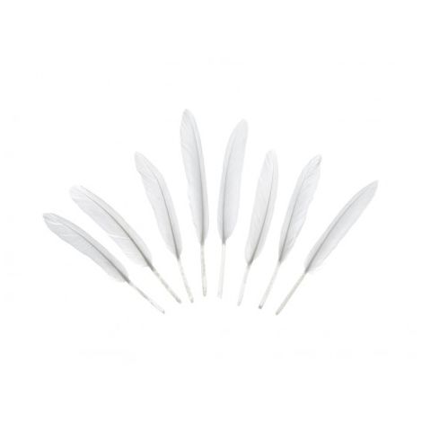 Piórka dekoracyjne PartyDeco 10-16cm Białe, 8szt